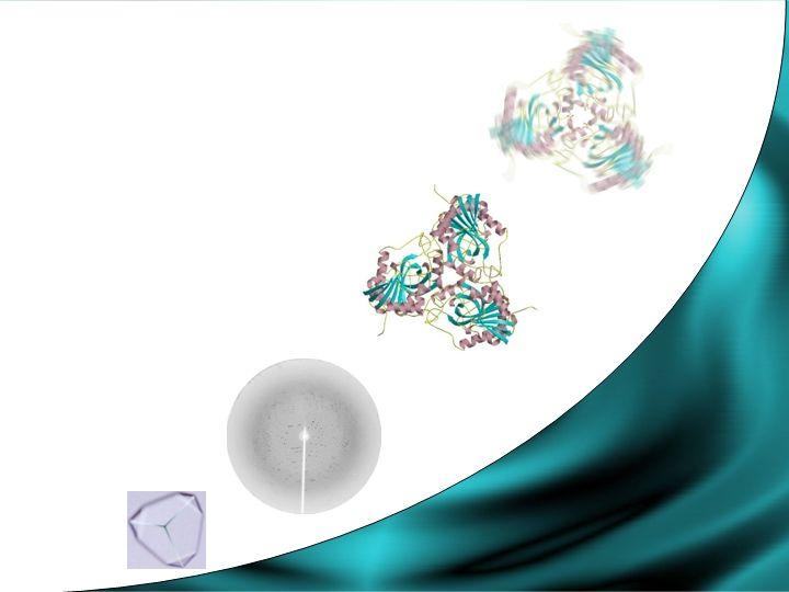 Bioinformática Estrutural Cristalografia de