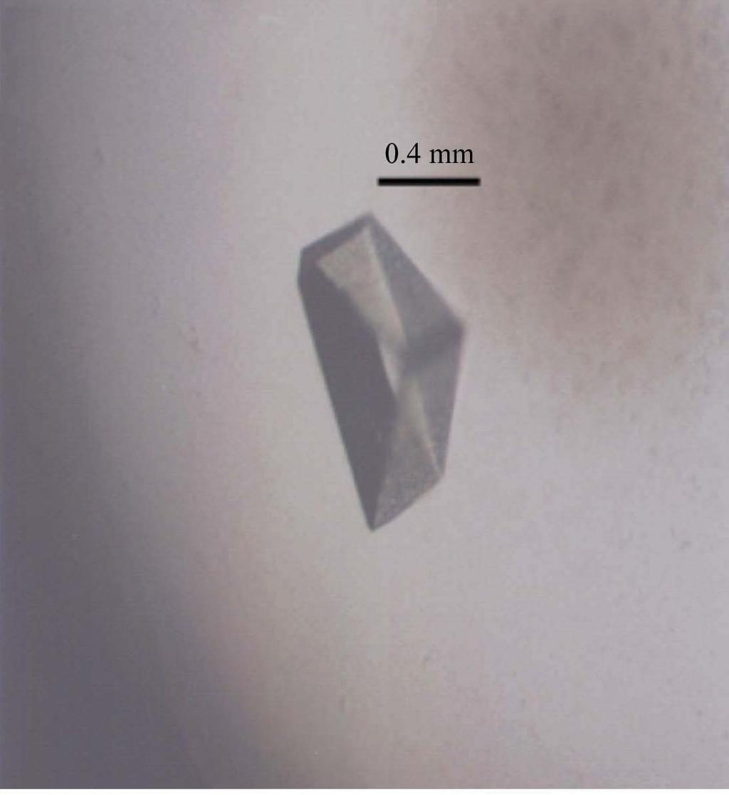 Artigos de cristalização (cristalização) The lyophilized purified CRL was dissolved to a concentration of 12 mg ml-1 in 20 mm Tris HCl ph 8.0 containing 0.