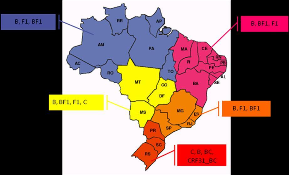 Figura 4 Distribuição dos subtipos mais prevalentes de HIV-1, por região, no Brasil. 1.