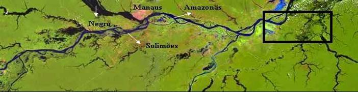 A ilha do Risco está situada na margem esquerda do rio Solimões/Amazonas, numa área aproximada de 160 km 2, cerca de 15 km a jusante de Itacoatiara.