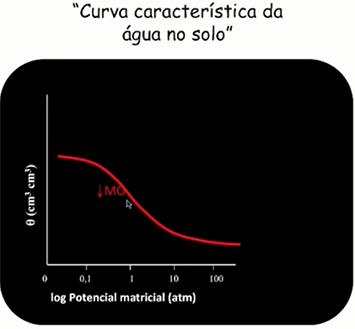 Perspectivas da pesquisa