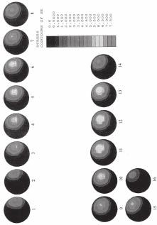 ANÁLISE DO DESGASTE DO POLIETILENO DO COMPONENTE ACETABULAR DA PRÓTESE TOTAL DO QUADRIL Fig. 2 Distribuição dos esforços de contato em 16 posições do ciclo da marcha Fig.