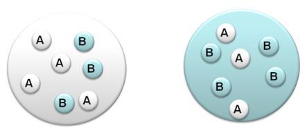 da planificação mensal, de Português e Matemática, de forma a