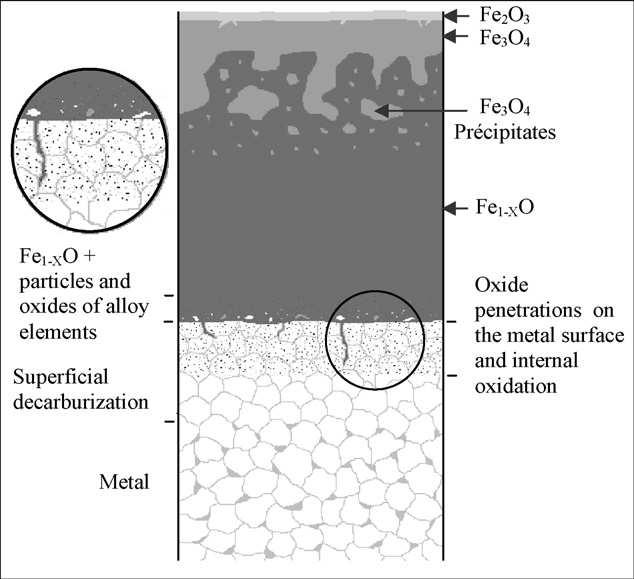 Precipitados Fe 1-X O + partículas e óxidos de elementos de liga Descarbonetação superficial Penetração de óxidos na superfície do metal e oxidação interna Figura 2.