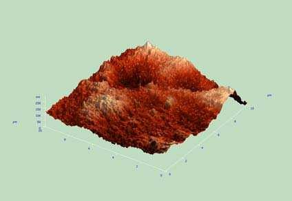 (a) (b) (c) (d) Figura 6 Fotomicrografias em 3D dos filmes obtidas por microscopia de força atômica