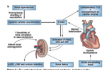 Gastroenterol.