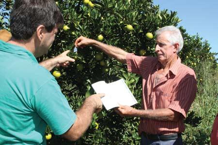 Por isso, avalie a absorção dos produtos e faça a rotação de acordo com os modos de ação de cada um; Dicas importantes: Confira sete passos para realizar um eficiente controle do mato, garantindo