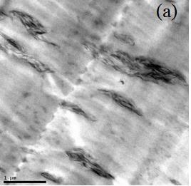Figura 85: Imagens TEM dos nanocompósitos: (a) sem