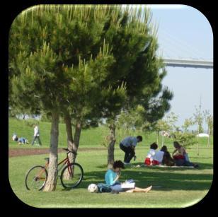 AMBIENTE Avaliação dos poluentes atmosféricos; Avaliação do Ruído