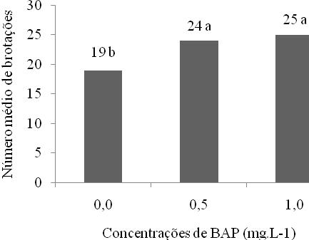 Tabela 1 Valores médios da porcentagem de regeneração dos brotos estiolados na interação da concentração de BAP e TDZ, aos 30 dias (Mean values in the percentage of elongated shoots regeneration in