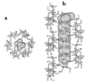 22 normal da molécula de amilose em hélices simples, o que gera uma cavidade central, como pode ser observado na Figura 4, onde até 20% dos íons iodo disponíveis na solução se depositam, à