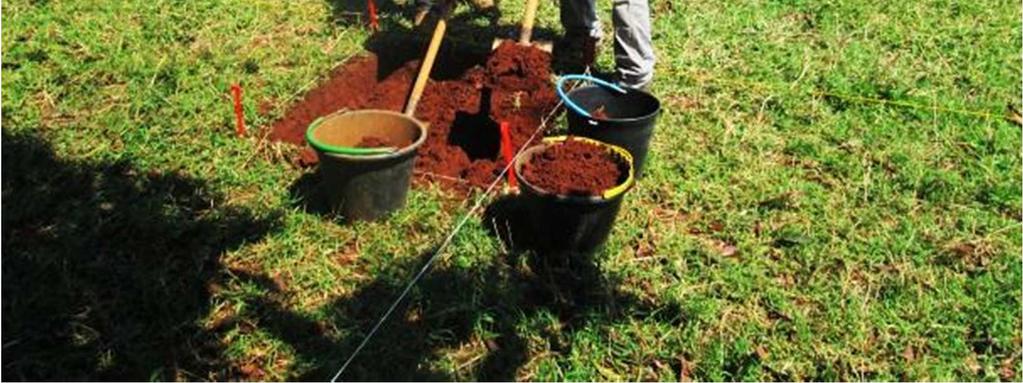 Em seguida, foram começadas as atividades de limpeza,