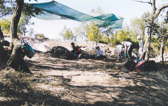 Fig. 18 Carrascal, 2004. Vista dos trabalhos arqueológicos em curso no sector oriental da área escavada. Foto de J. L. Cardoso.