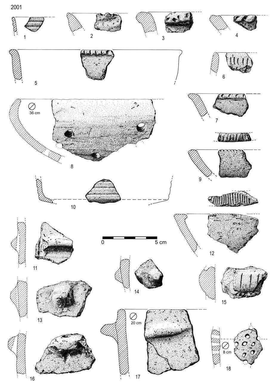 Fig. 66 Carrascal, 2001.