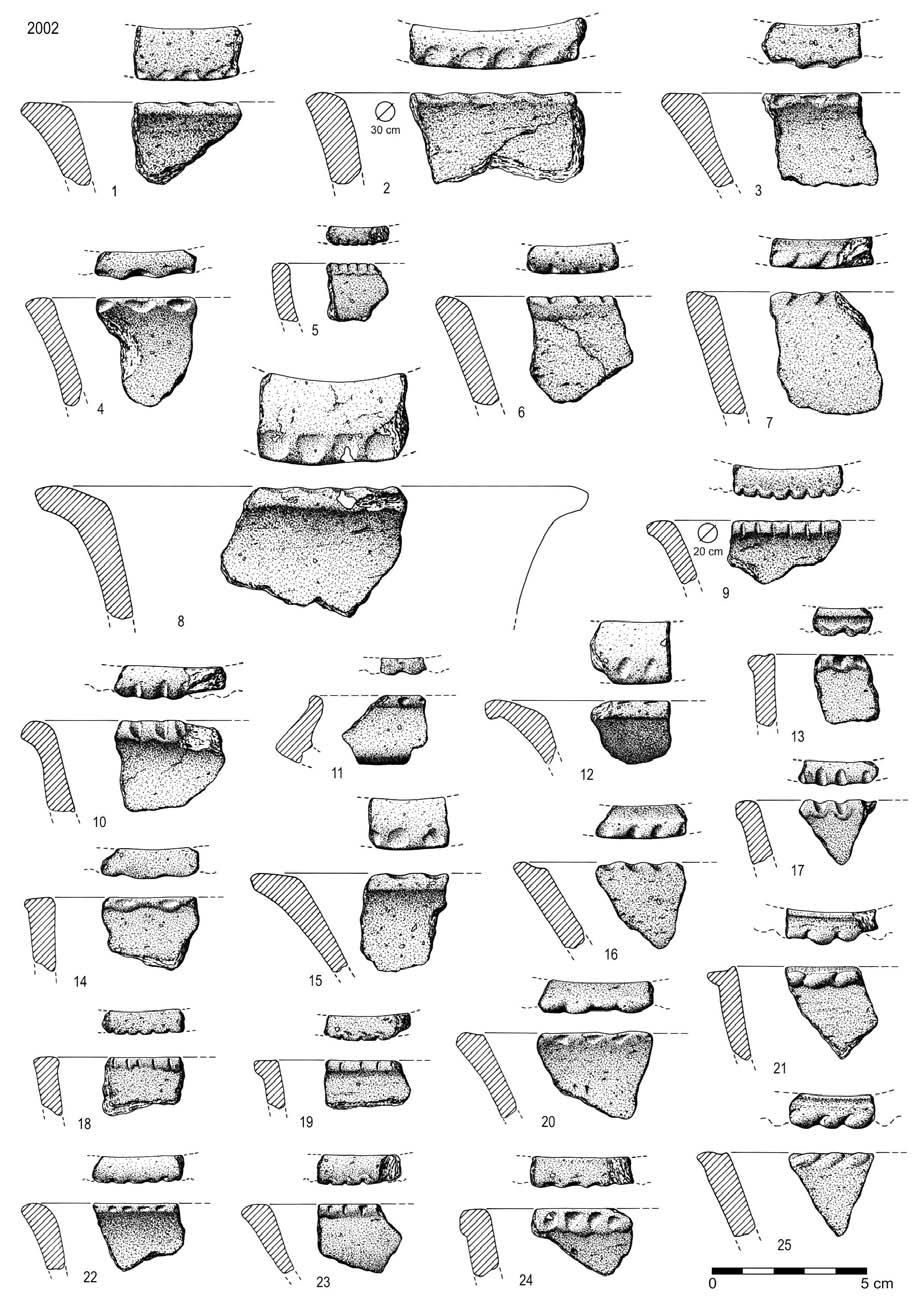 Fig. 68 Carrascal, 2002.