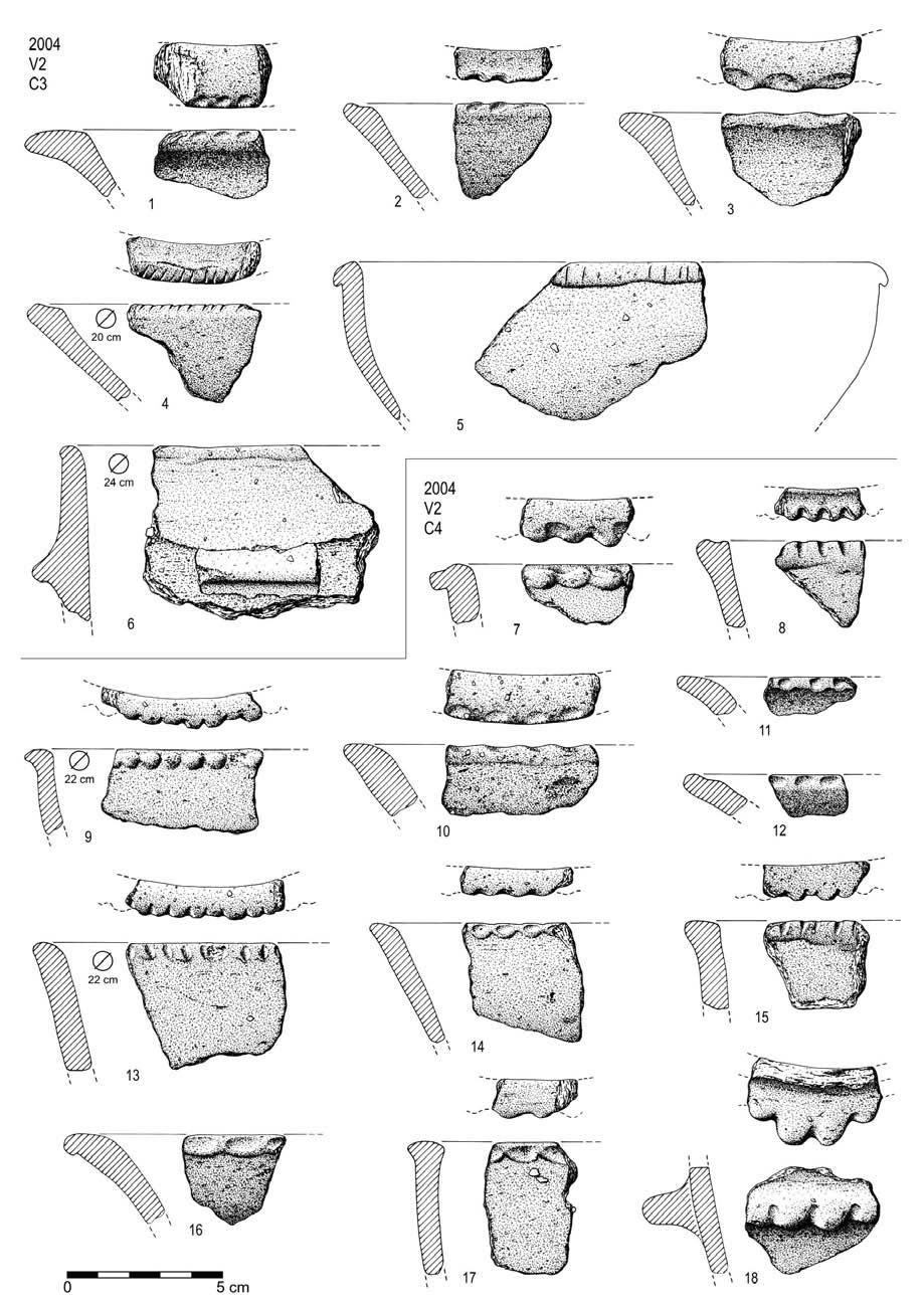 Fig. 73 Carrascal, 2004.