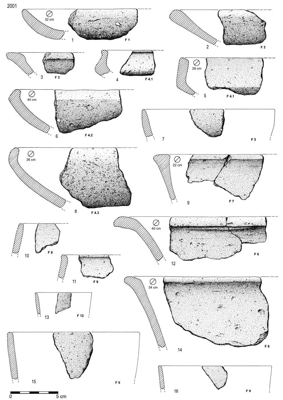 Fig. 77 Carrascal, 2001.