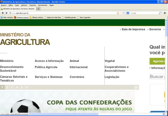 DOCUMENTAÇÃO BÁSICA 1. FORMULÁRIO DE REQUERIMENTO 3. TABELA DE DESCRITORES MÍNIMOS www.agricultura.gov.br 2.