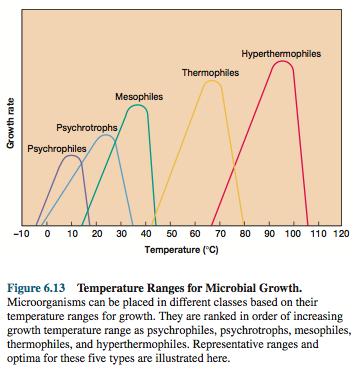 Termófilos: Conseguem crescer a temperaturas de 55 o C ou mais. O seu crescimento é mínimo a temperaturas à volta dos 45 o C e muitas vezes têm temperaturas ótimas entre os 55-65 o C.