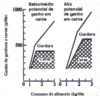 24. O gráfico abaixo demonstra o potencial genético de dois tipos de suínos com genótipos diferentes.