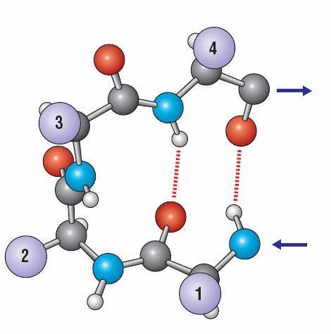 Estrutura Molecular Espacial: Nível de Organização da