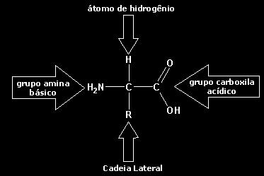 Estrutura Molecular: Carbono