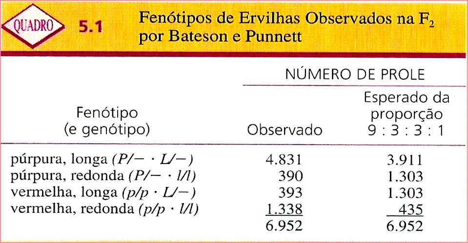 Experimentos de BATESON e PUNNETT, envolvendo estudos de herança de genes da ervilha-de-cheiro: flor -> P = púrpura PPLL x ppll p