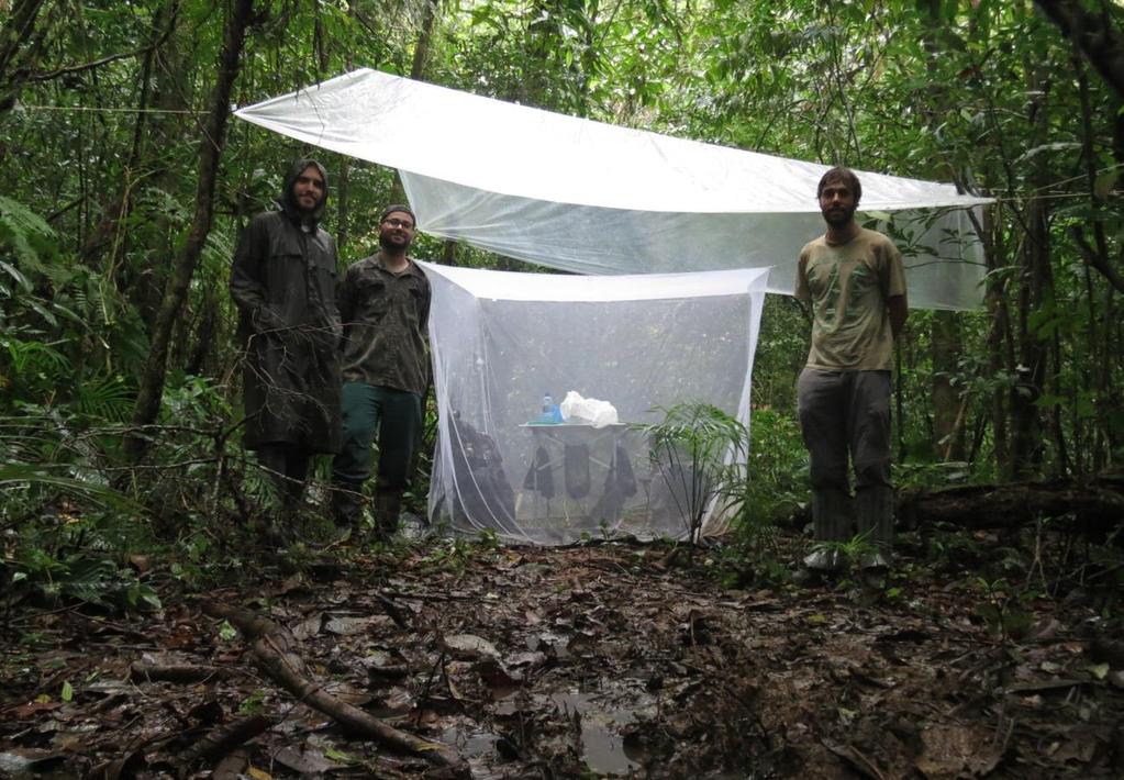 Página 21 de de9 10 APA DE GUARAQUEÇABA SERVE DE LABORATÓRIO PARA O DESENVOLVIMENTO DE PESQUISAS CIENTÍFICAS Geração de conhecimento sobre biodiversidade contribui para desenvolvimento da região e