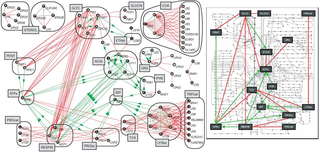 Redes Gênicas Modelos de Redes Gênicas Redes Gênicas Redes Hierárquicas Segrè et al.