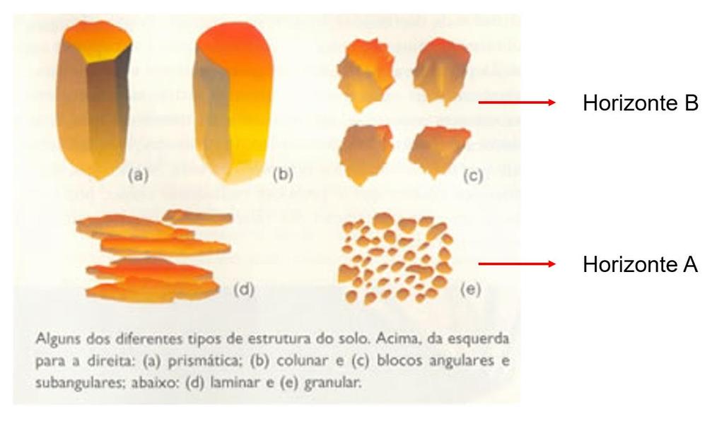 C. Estrutura A estrutura está relacionada diretamente com a aeração do solo, armazenamento e