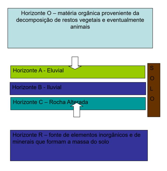 Horizonte E (eluvial) Horizonte mineral sub superficial, no qual ocorreu perda ou segregação de material coloidal orgânico e inorgânico.