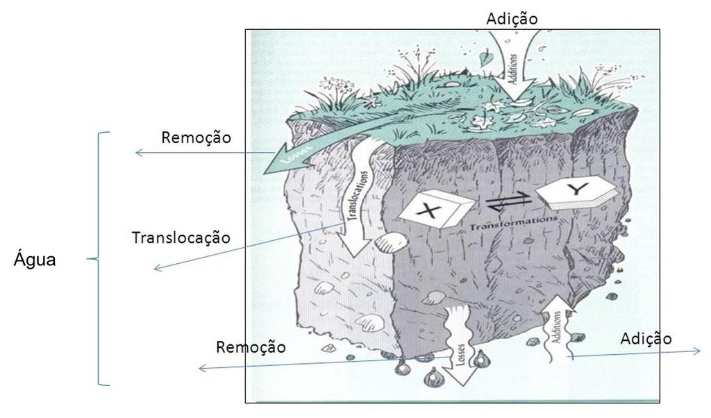 FORMAÇÃO