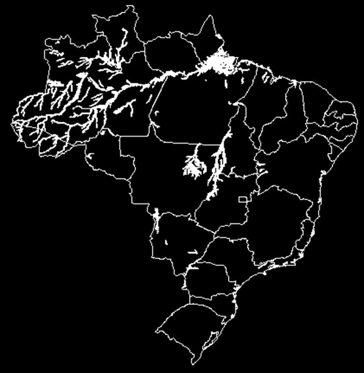 Representatividade : 4% do Brasil, 2,5% do Centro-Oeste, 3,5% de Mato Grosso do Sul 7.