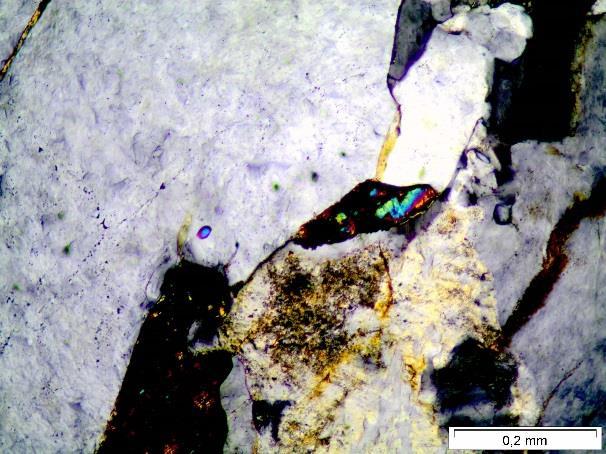 5 Composição mineralógica modal dos granulitos enderbíticos-charnockíticos CH1.