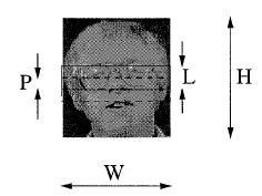 28 O HMM também pode ser utilizado para detecção e reconhecimento de faces, como apresentado em diversos trabalhos (XU et al., 2003; LE e LI, 2004; SAMARIA, 1994; NEFIAN e HAYES, 1998).