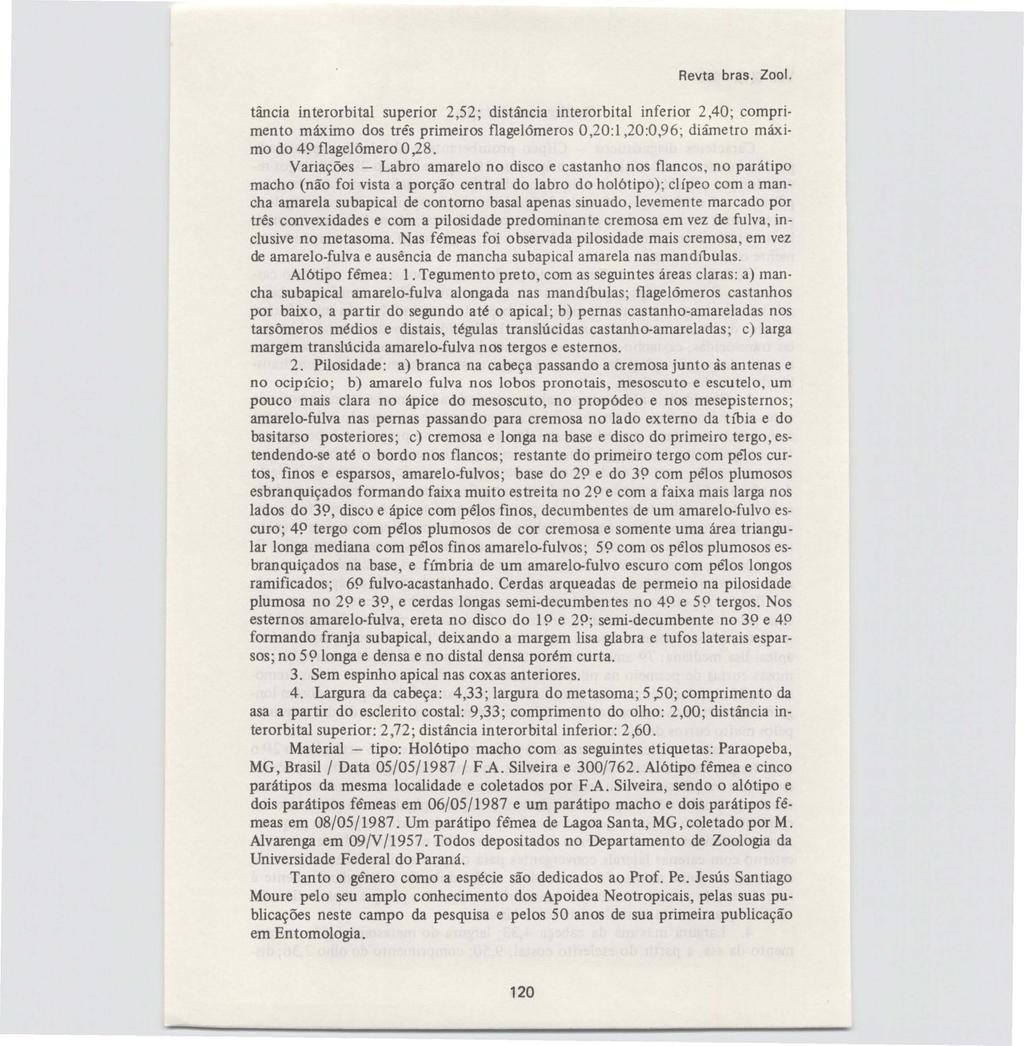 Revta bras. Zoo I. tância interorbital superior 2,52; distância interorbital inferior 2,40; comprimento máximo dos três primeiros flagelômeros 0,20:1,20:0,96; diâmetro máximo do 4!l flagelômero 0,28.