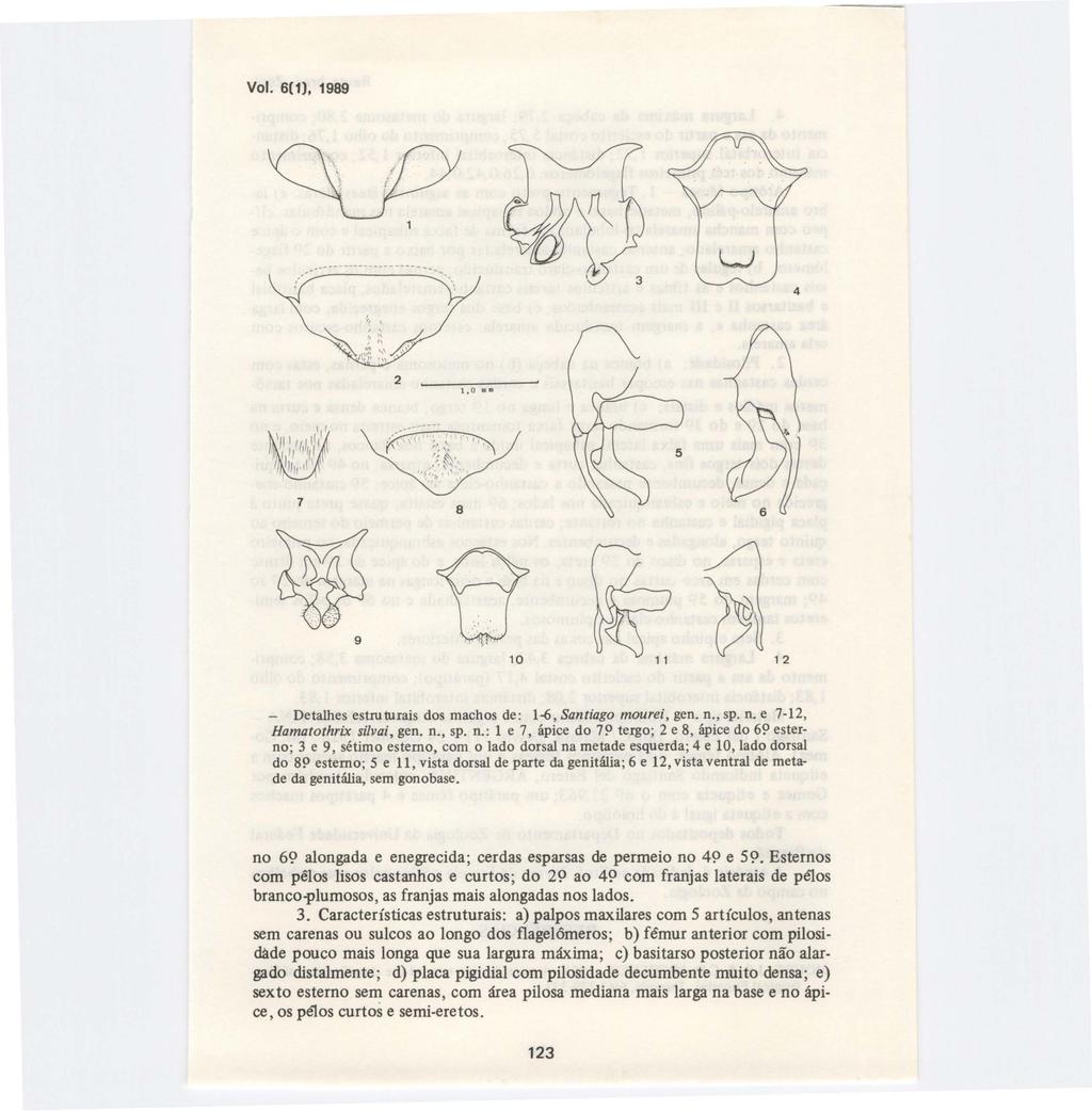 Vol. 6(1), 1989 ---------- -- ------ 4 2 1,0 III Il. 7 8 10 12 - Detalhes estruturais dos machos de : 1~, Santiago mourei, gen. n.
