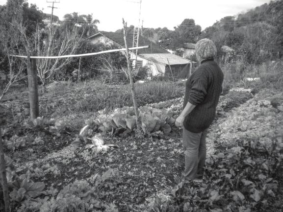 [ ] Construir novas estratégias de desenvolvimento que levem em conta a multidimensionalidade e multifuncionalidade do meio rural torna-se uma necessidade no contexto atual da agricultura.