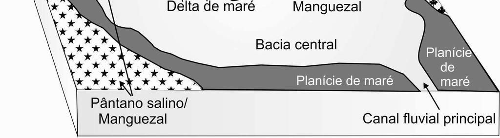 Informações faciológicas, juntamente com dados isotópicos, elementares, 14 C, palinológicos e de diatomáceas, são consistentes com a existência de paleoestuário com domínio de onda no Pleistoceno