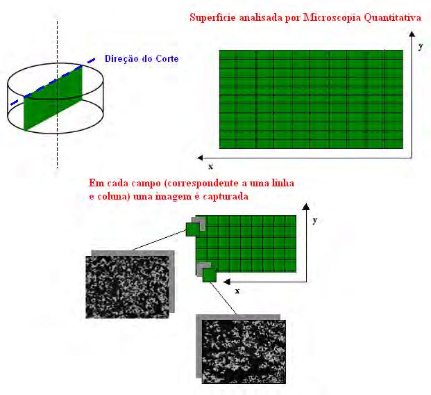 45 Figura 6 Esquema da varredura de imagens obtidas das amostras sinterizadas. 3.3.4.3 Caracterização da distribuição espacial da porosidade ao longo da amostra por Microscopia Quantitativa.