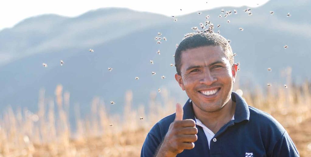 Promover a apropriação de tecnologias sustentáveis visando melhor convivência com o semiárido, o uso racional dos recursos naturais e a geração de renda; 2.