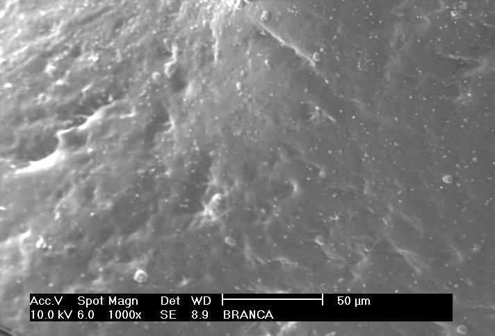 Microscopia eletrônica de varredura Observou-se que as esferas de QT/GCOX9,5 (Figura 4B) apresentam superfície mais rugosa que as esferas preparadas apenas com QT (Figura 4A), o que pode ser