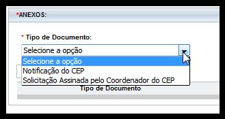 pesquisador Responsável; Efetue a mesma busca exibida