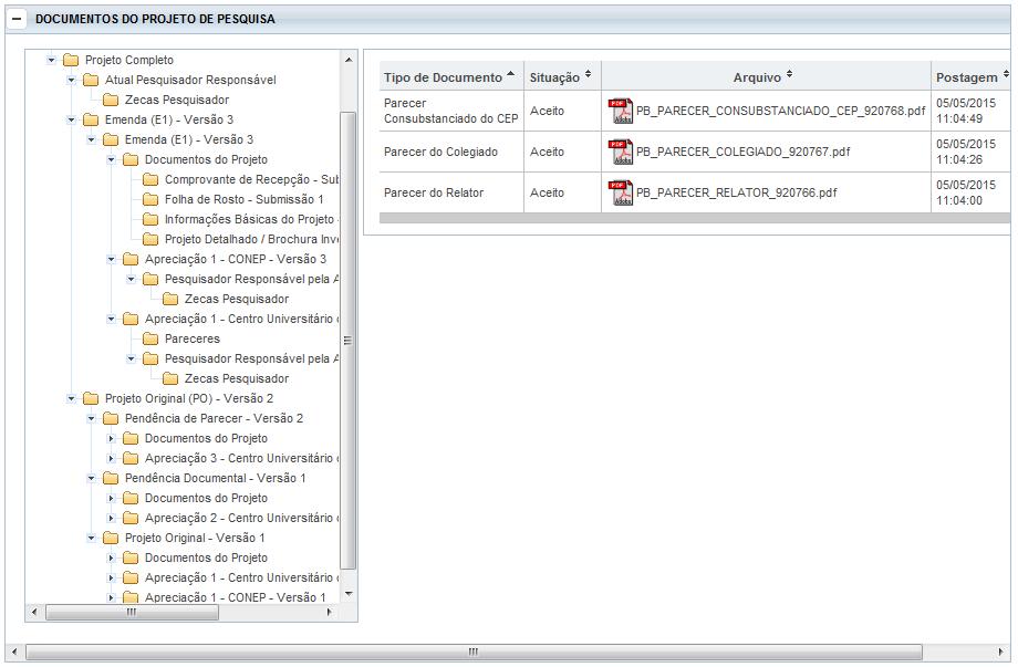 Exemplo 2: Expandindo a pasta Projeto Completo é possível visualizar toda a submissão inicial (pasta Projeto Original com as pastas Pendência Documental (é possível concluir que ocorreu apenas 1