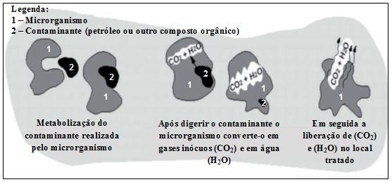 5. IMPACTOS AMBIENTAIS ORIUNDOS DA INDÚSTRIA PETROLÍFERA O petróleo, por ser uma substância tóxica, põe em risco todo o ecossistema ao seu redor.