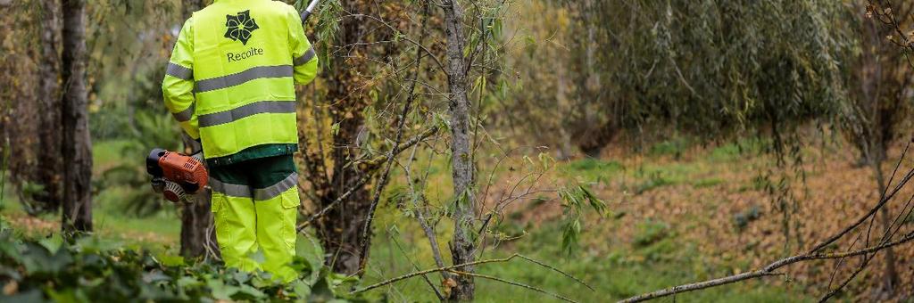 Atua em toda a fileira da cadeia florestal em todo o território nacional 2.