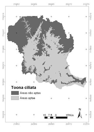 A Toona ciliata, conhecida popularmente como cedro australiano apresentou restrição ao plantio nas áreas altas, ao norte da bacia (Figura 4).