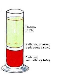 Imagem 1- Elementos do Sangue.