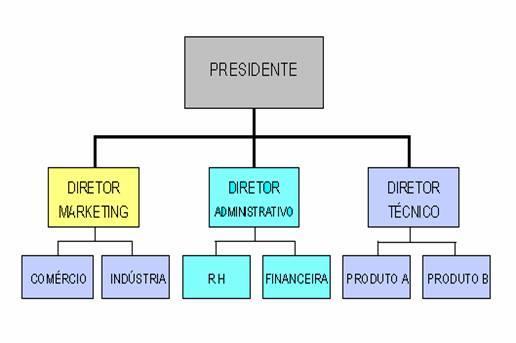 Deste modo, a estrutura funcional baseia-se na especialização e departamentalização da empresa, isto é, agrupa, em departamentos, funcionários que realizam atividades dentro da mesma área técnica ou