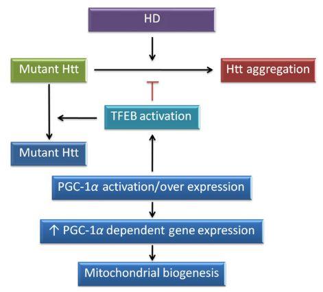 Biogenesis in